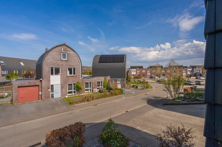 Foto 27 van Bosroos 6