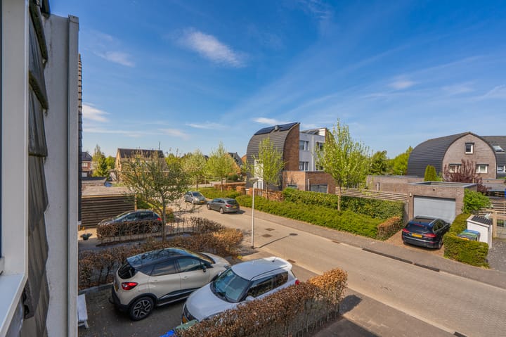 Foto 28 van Bosroos 6