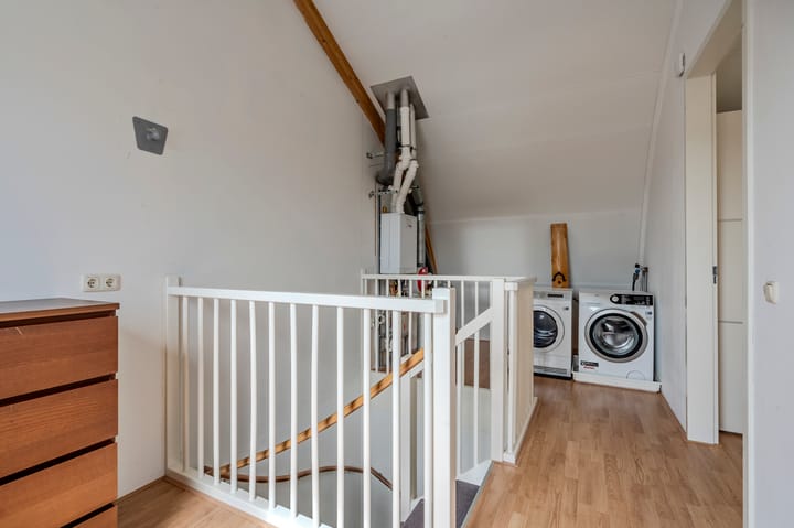 Foto 32 van Bosroos 6