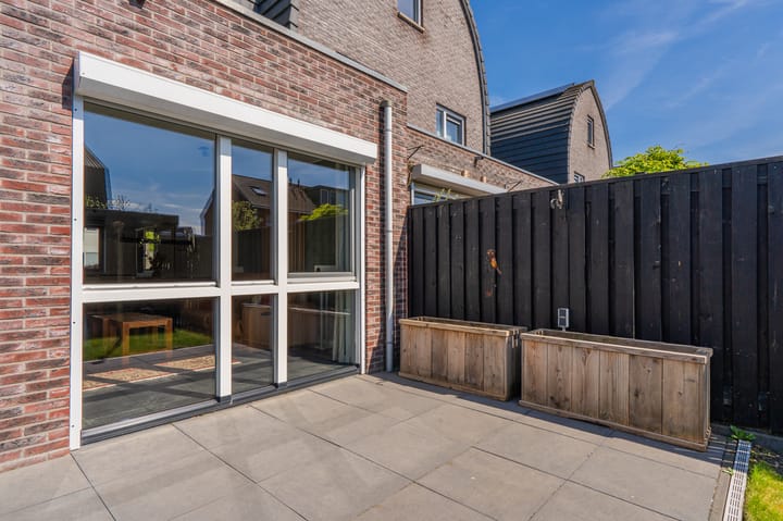 Foto 37 van Bosroos 6