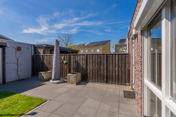 Foto 38 van Bosroos 6