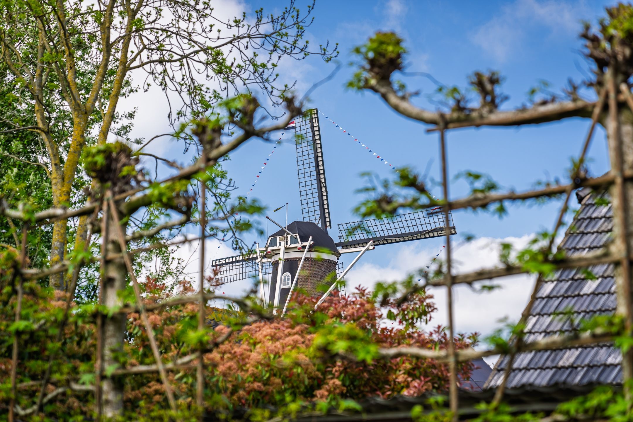 Photo 60 of Herenstraat 15