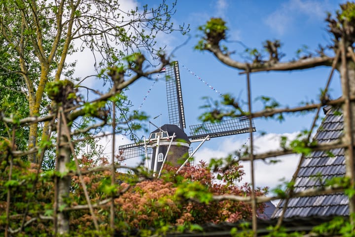 Foto 60 van Herenstraat 15