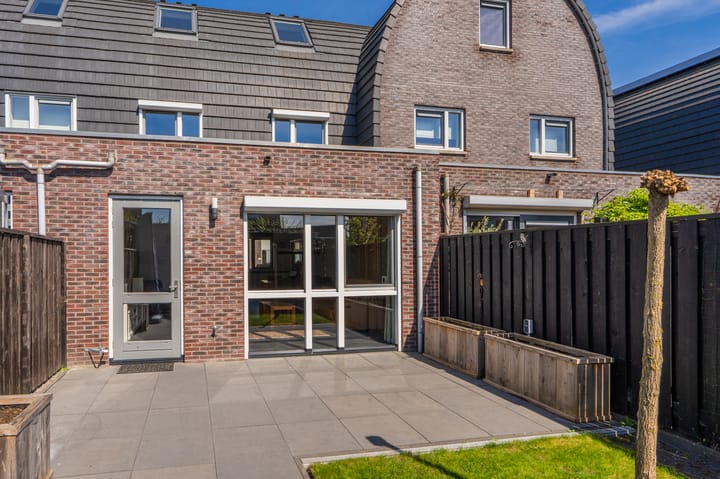 Foto 40 van Bosroos 6