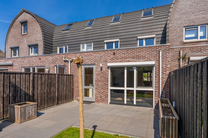 Foto 44 van Bosroos 6