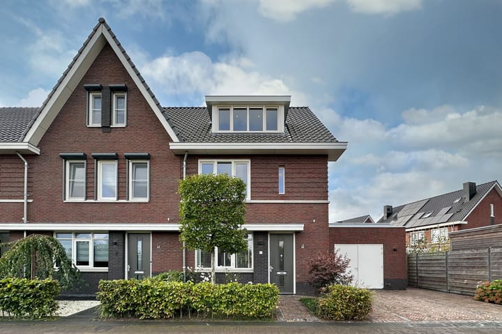 Foto 6 van Zwarte Roodstaart 1