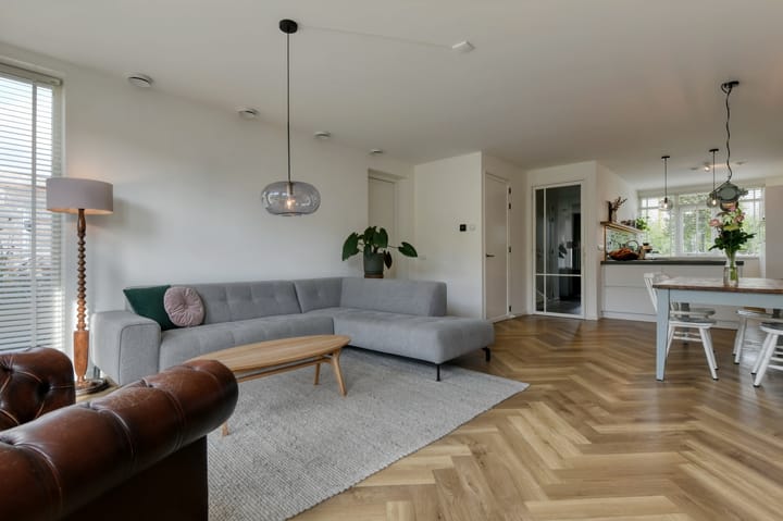 Foto 11 van Zwarte Roodstaart 1