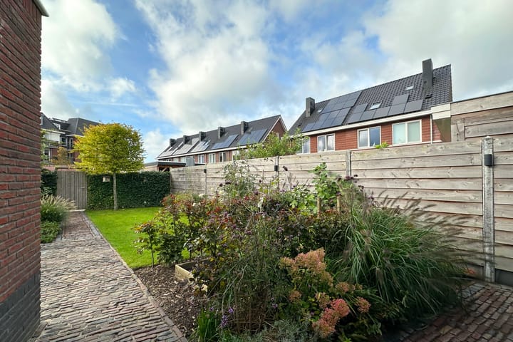 Foto 35 van Zwarte Roodstaart 1