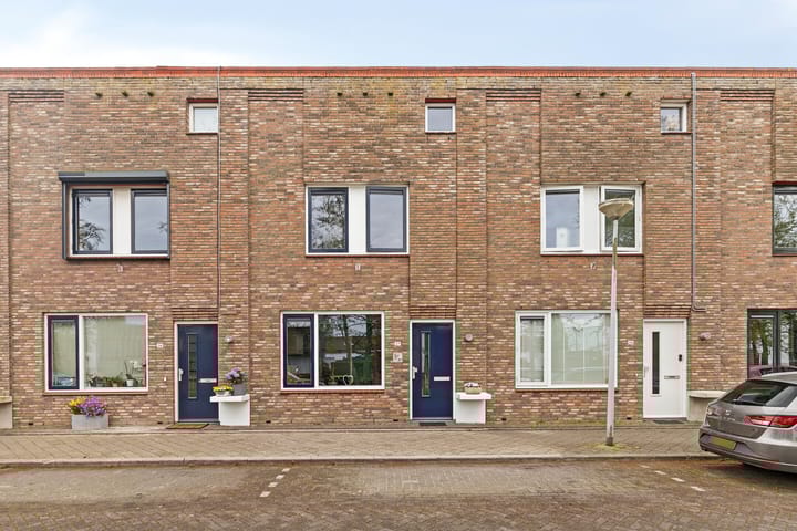 Foto 1 van Zeedistel 37