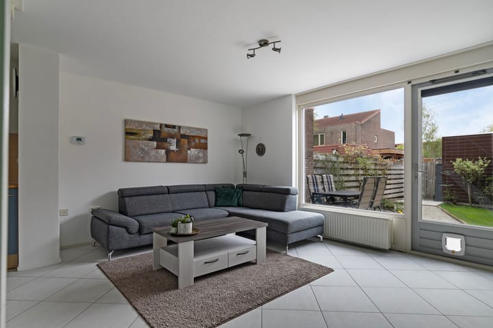 Foto 2 van Zeedistel 37