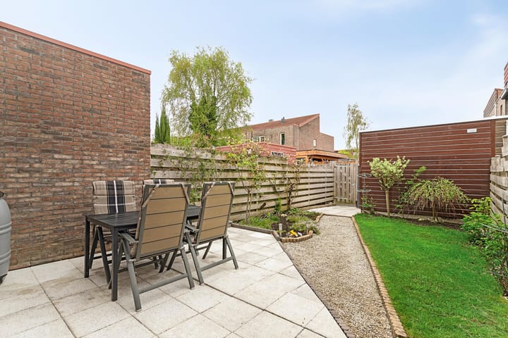 Foto 4 van Zeedistel 37