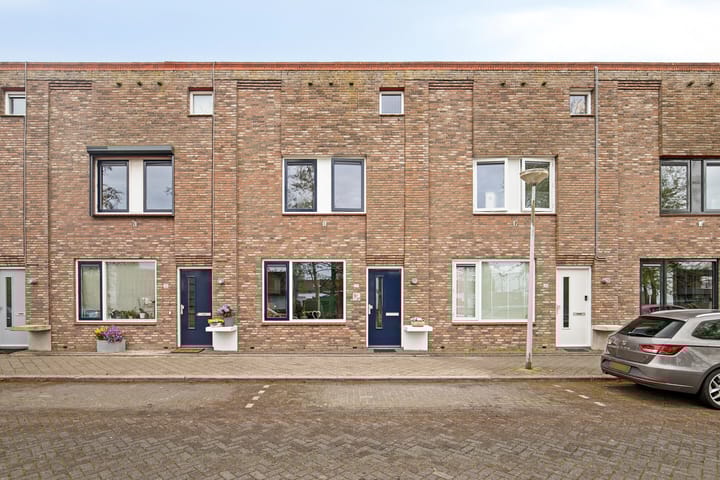 Foto 5 van Zeedistel 37