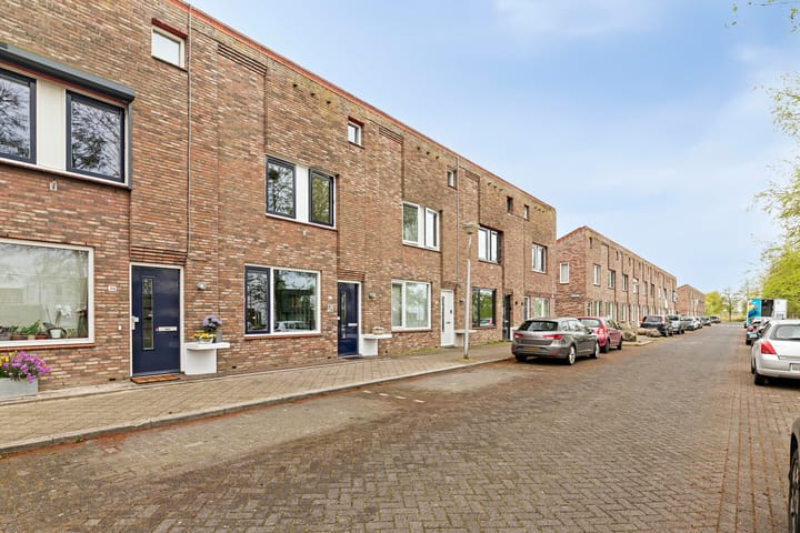 Foto 6 van Zeedistel 37