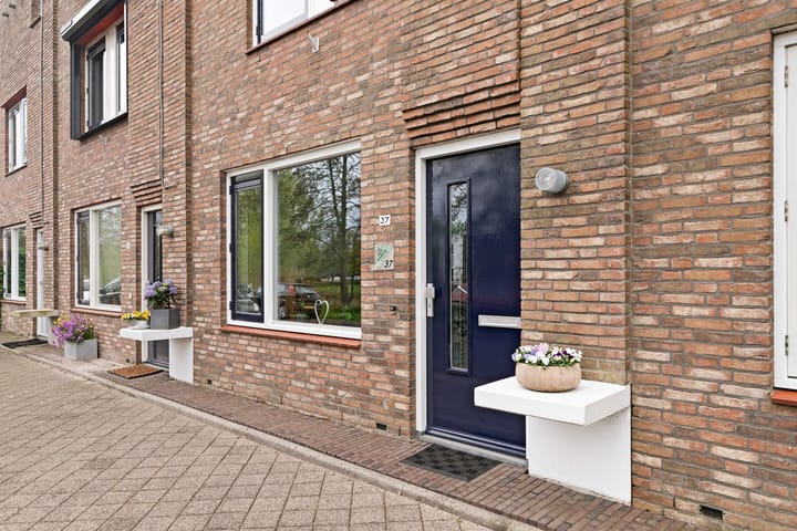 Foto 7 van Zeedistel 37