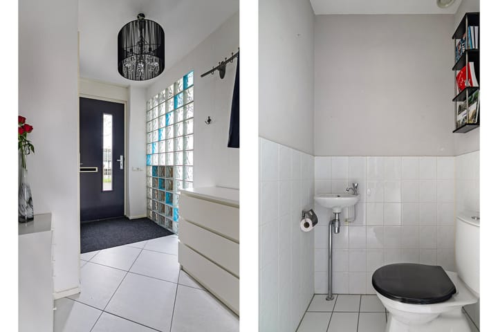 Foto 8 van Zeedistel 37