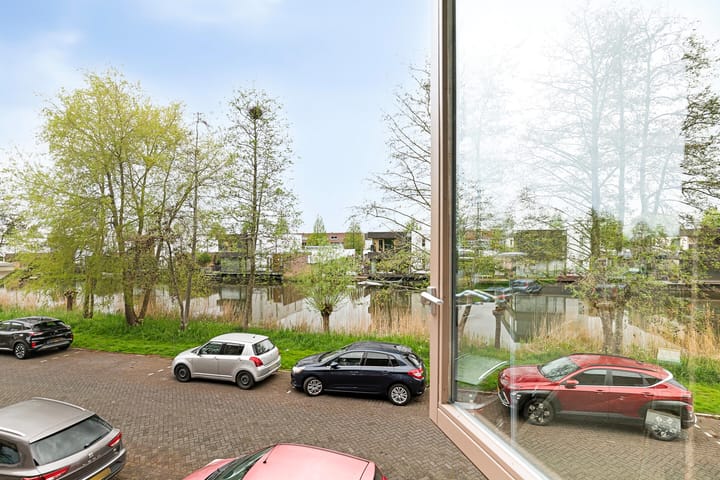 Foto 22 van Zeedistel 37