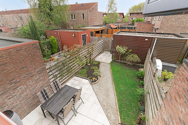 Foto 27 van Zeedistel 37