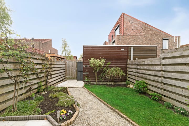 Foto 28 van Zeedistel 37