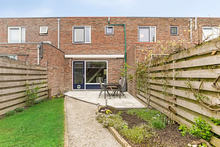 Foto 29 van Zeedistel 37