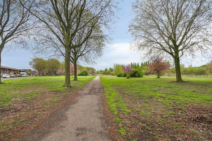 Foto 31 van Zeedistel 37