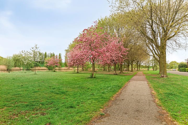 Foto 32 van Zeedistel 37