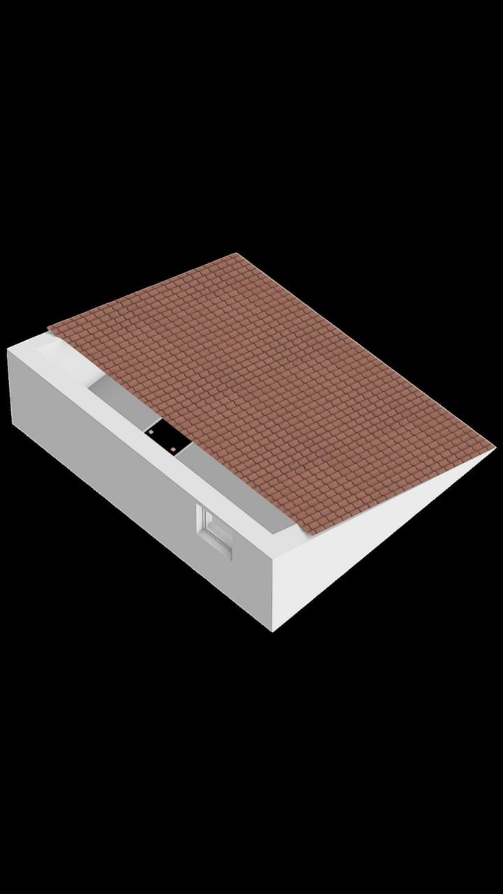 Foto 41 van Zeedistel 37