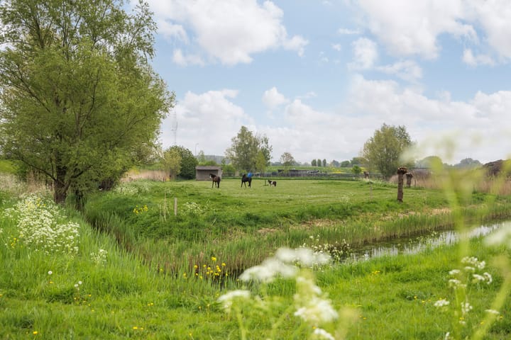 Photo 3 of Lindtsedijk 103