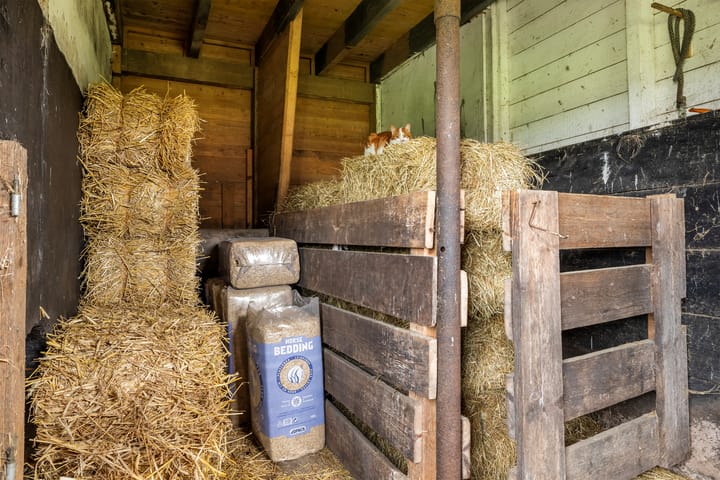 Photo 73 of Lindtsedijk 103