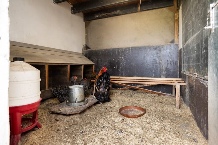 Photo 75 of Lindtsedijk 103