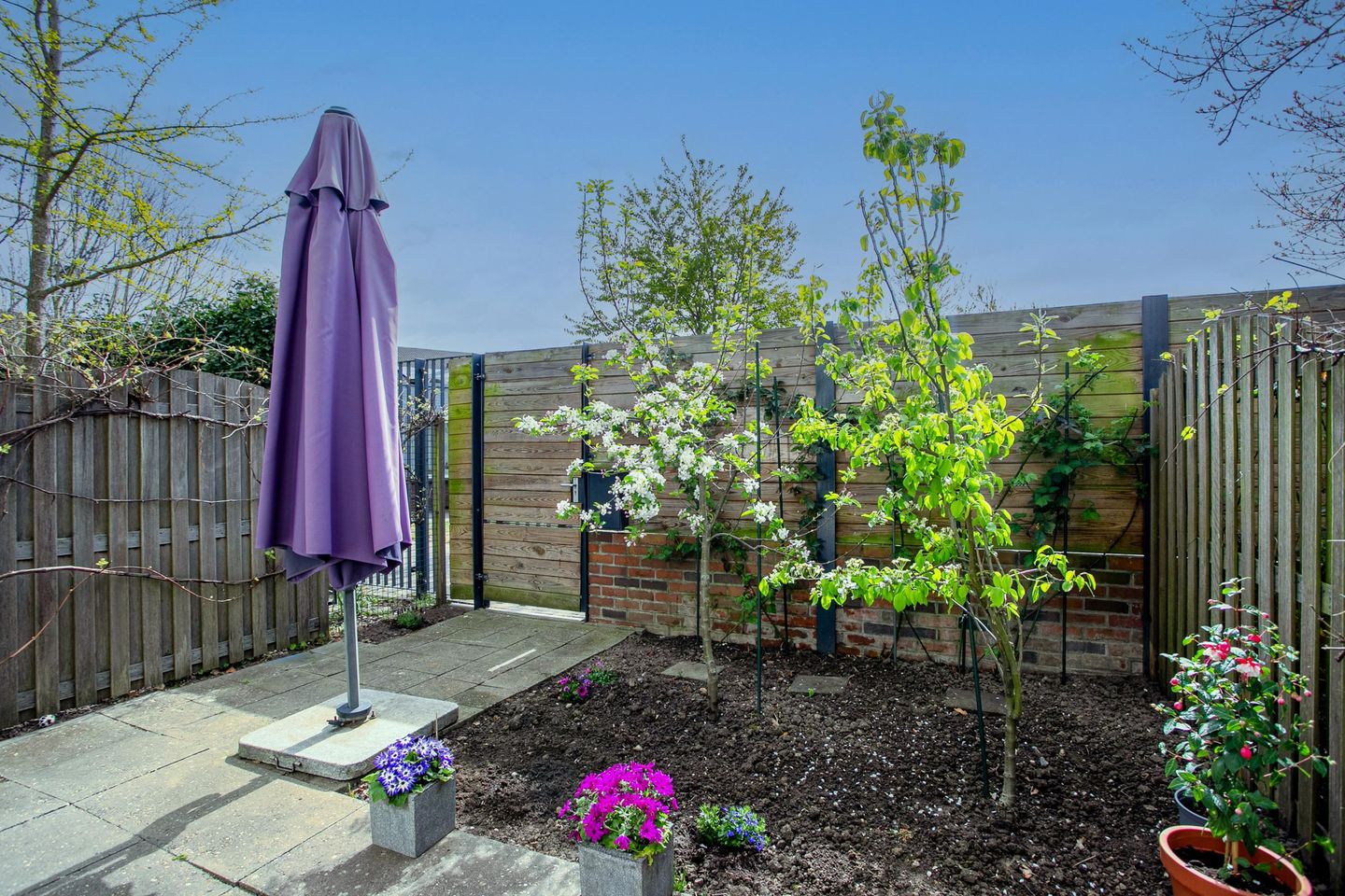 Foto 5 van Mierikswortelstraat 74