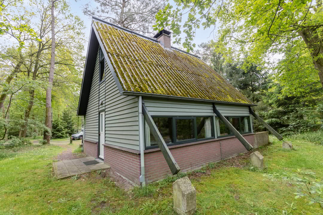 Foto 22 van Bosrand | 22