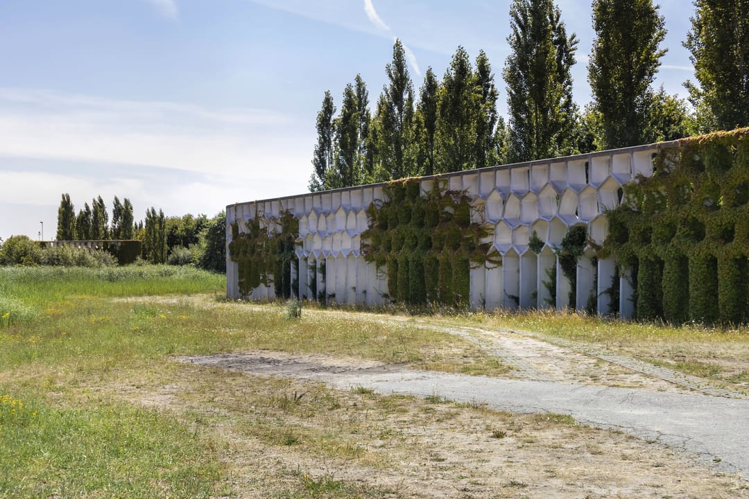 Foto 38 van Mierikswortelstraat 74