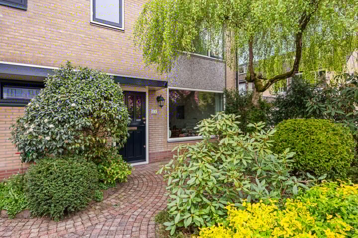 Foto 3 van Spanker 11