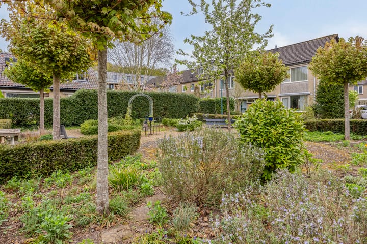 Foto 6 van Spanker 11