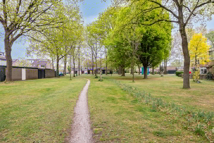 Foto 7 van Spanker 11