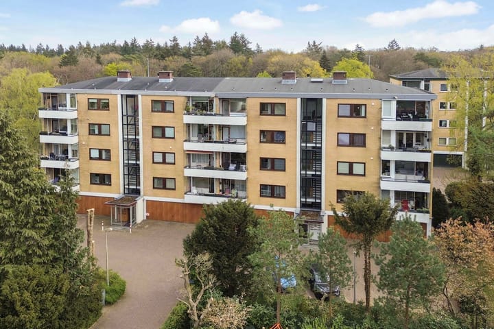 Foto 4 van Merelhof 113