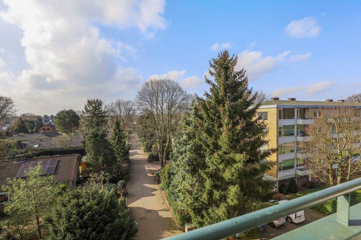 Foto 27 van Merelhof 113