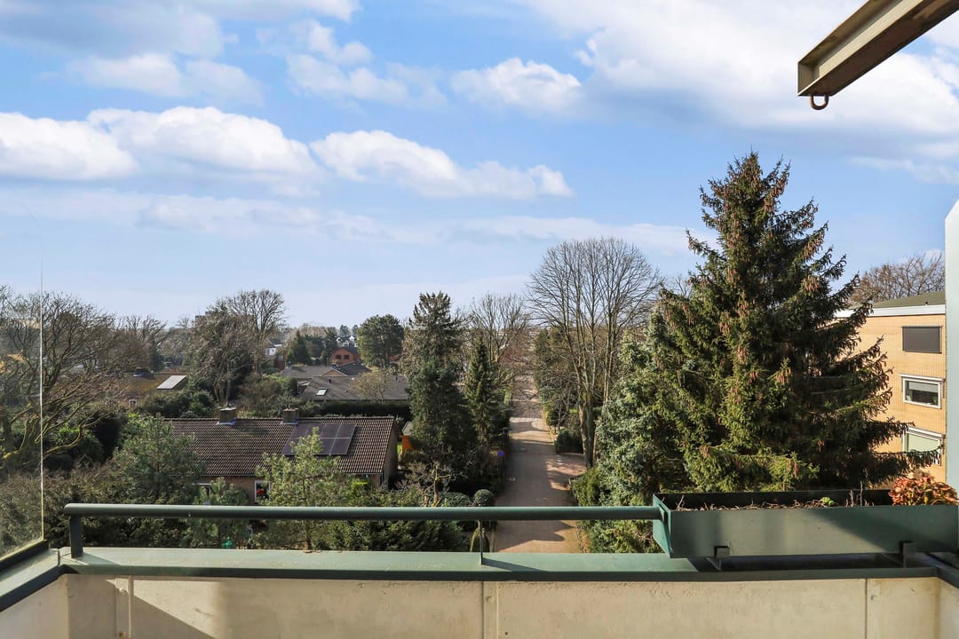 Foto 28 van Merelhof 113