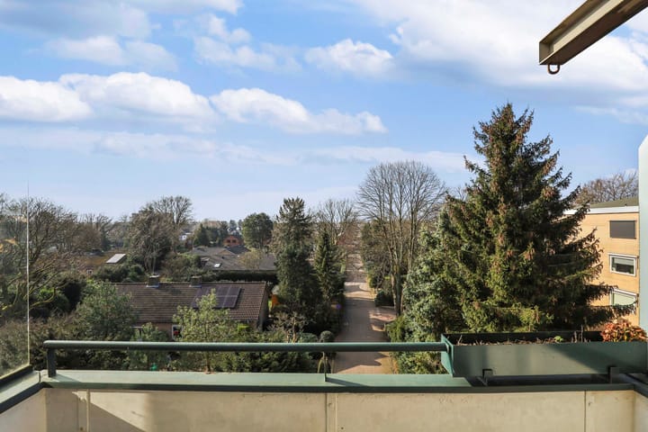 Foto 28 van Merelhof 113