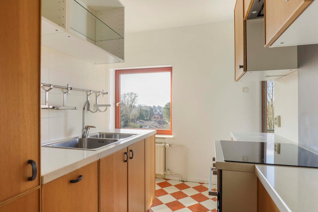 Foto 32 van Merelhof 113