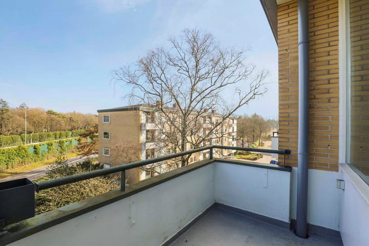 Foto 37 van Merelhof 113