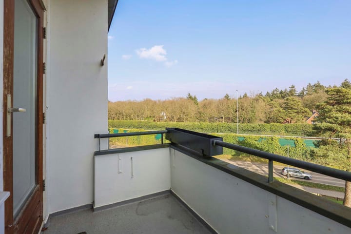 Foto 38 van Merelhof 113