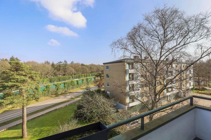 Foto 39 van Merelhof 113