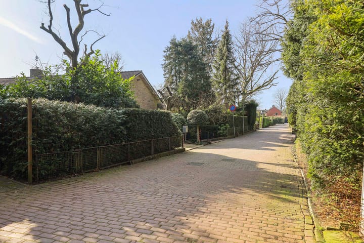 Foto 46 van Merelhof 113