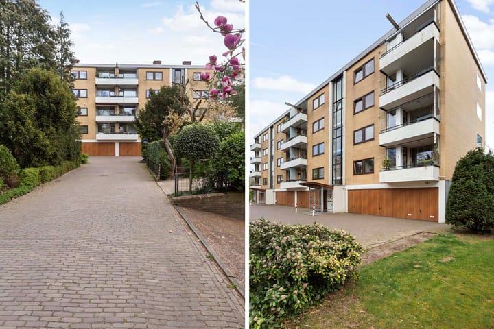 Foto 49 van Merelhof 113