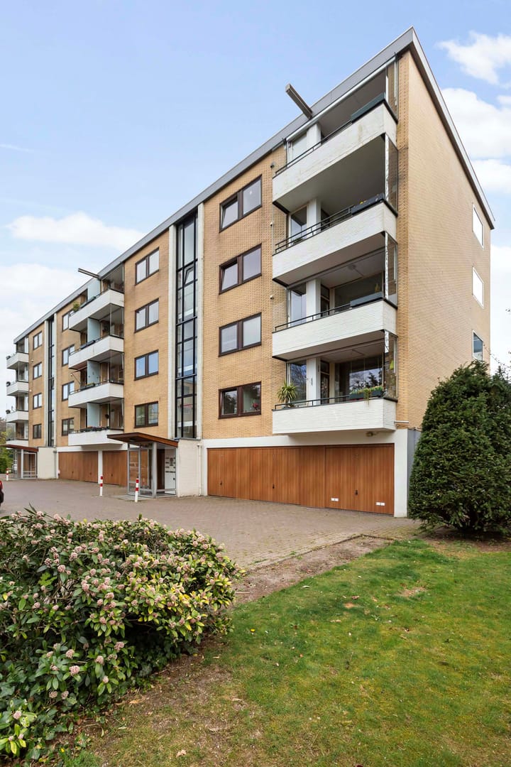 Foto 50 van Merelhof 113