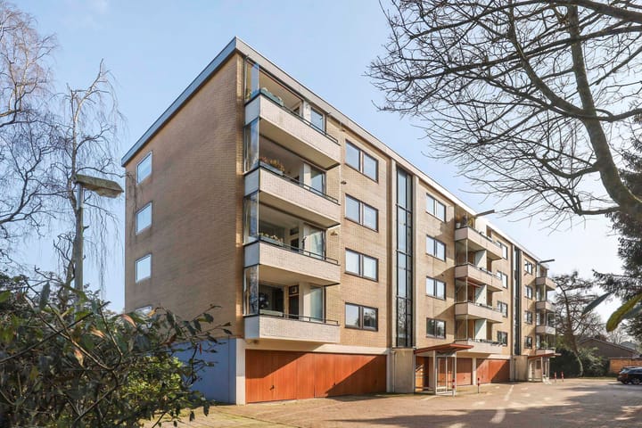 Foto 52 van Merelhof 113