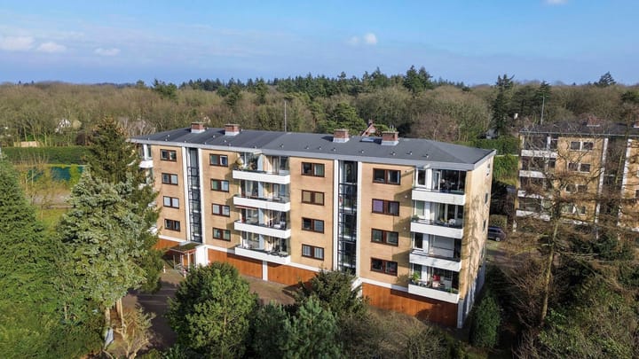 Foto 53 van Merelhof 113