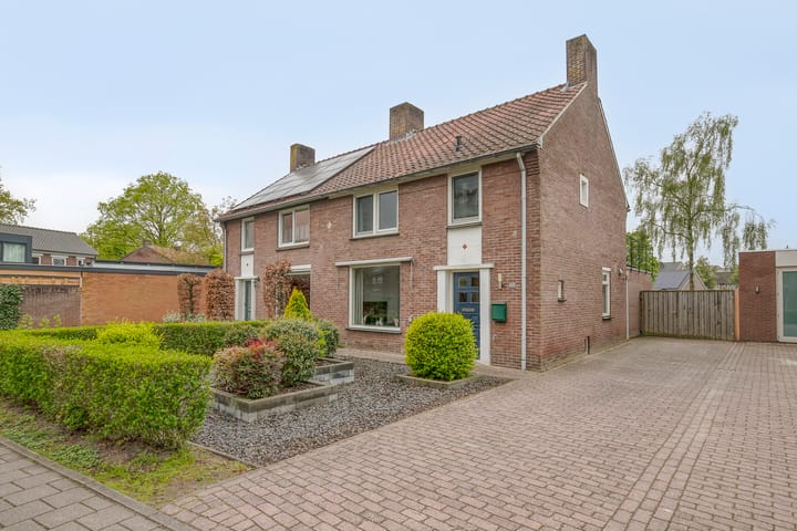 undefined main image