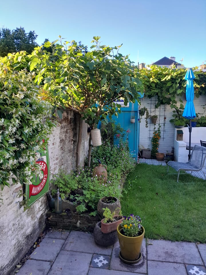 Foto 31 van Koningsweg 248